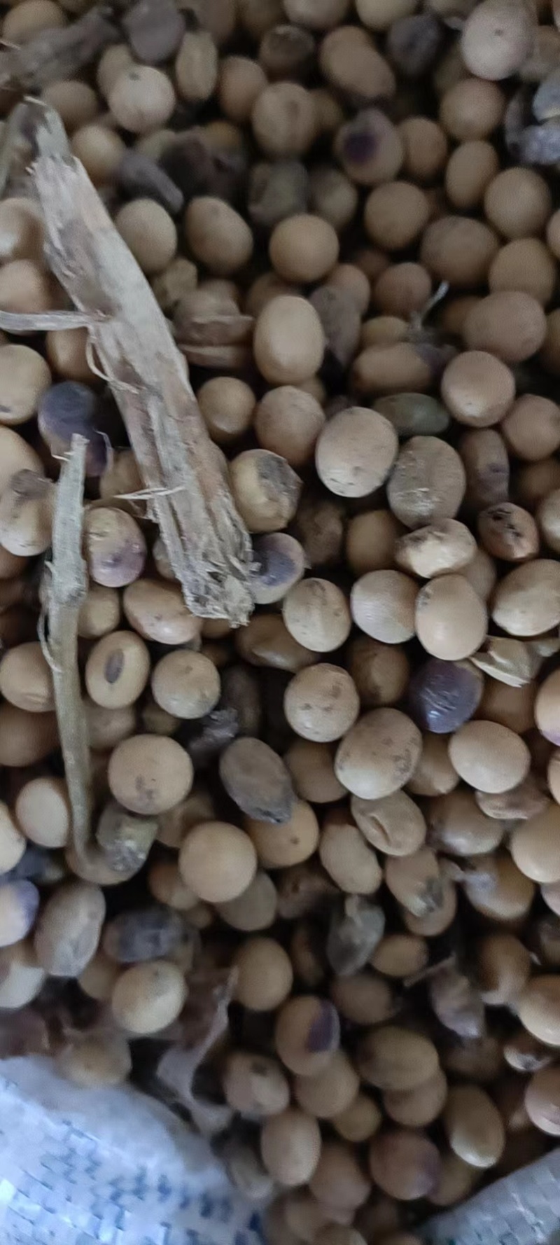微生物菌剂发酵大豆，农作物有机肥，果树，草莓专用