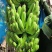 香蕉