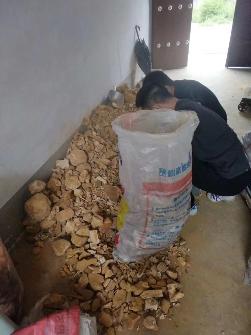 山西临猗，黄河边上沙层千年龙骨，龙牙有大小货，有完整化！