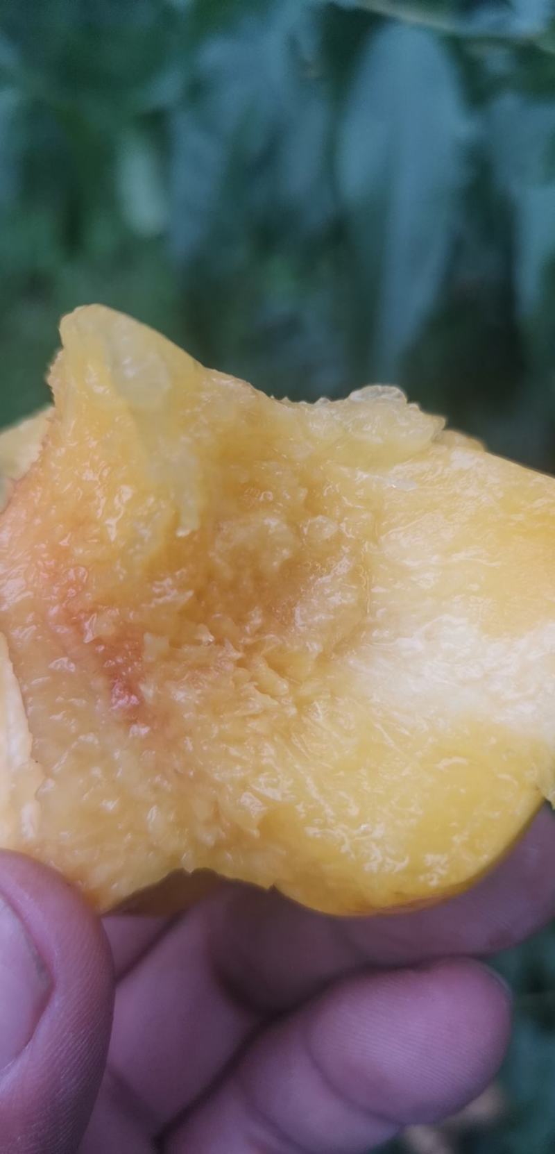 甜如蜜黄油