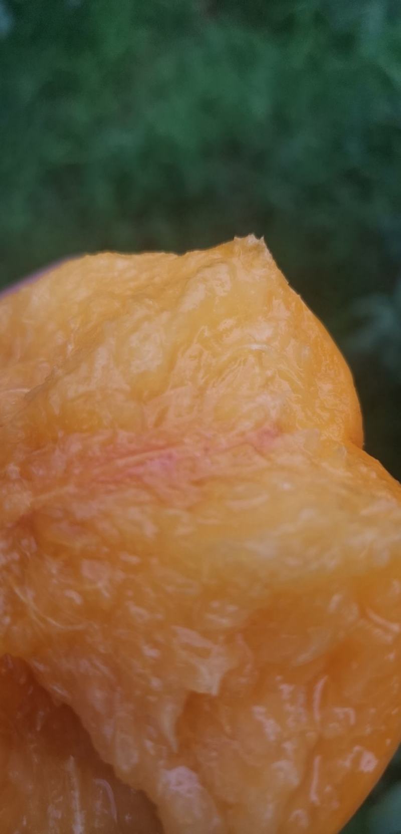 甜如蜜黄油