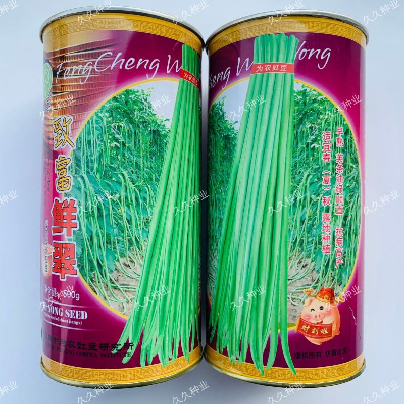 致富鲜翠豇豆种子小叶长荚顺直油绿高产抗病农家春秋播种