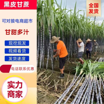【货源充足价低】优质黑皮甘蔗果蔗广西甘蔗，产地现发来电