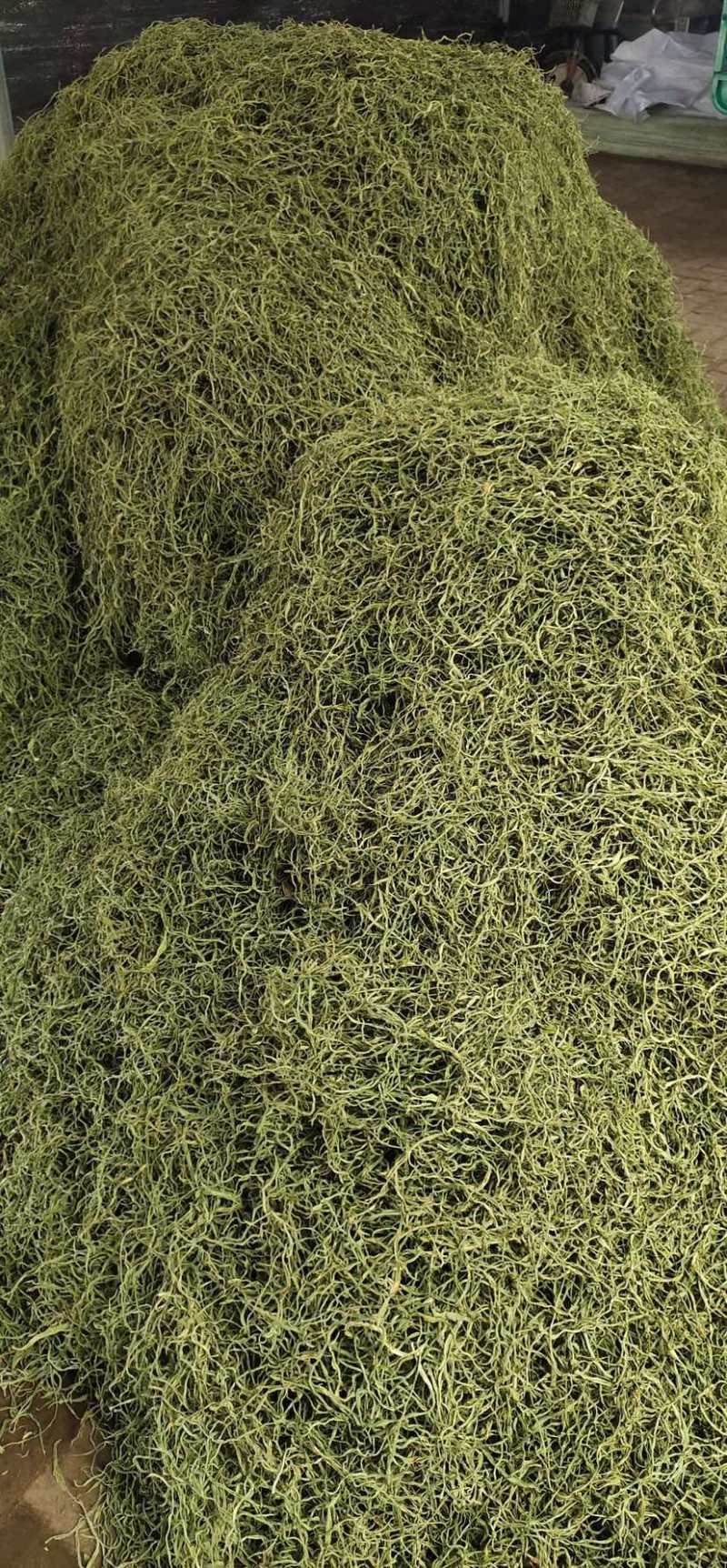 干豆角丝（架豆丝）手选精品原材料加工优质的干菜