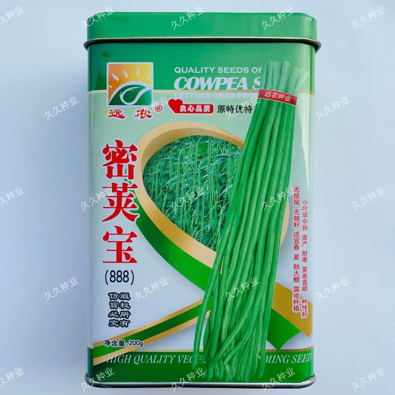 远农密荚宝长角豆种子长豇豆种子嫩绿色籽少厚肉双荚多