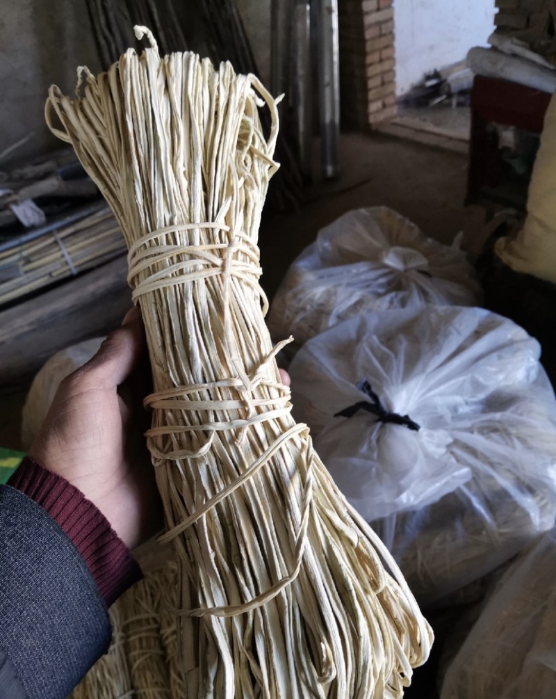 干西葫芦条（角瓜）精选西葫芦加工干葫芦条，细条