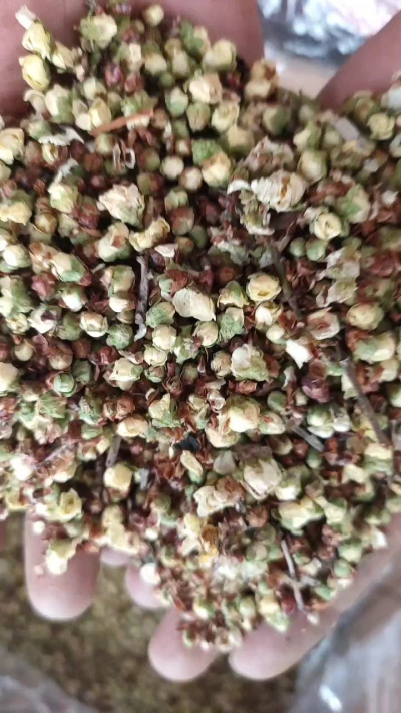 绿萼梅白梅花绿梅花花茶大量供应一件代发