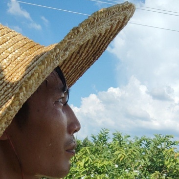 三十多亩山坡地，现种有板栗树，届时想转租，欢迎想投资咨询