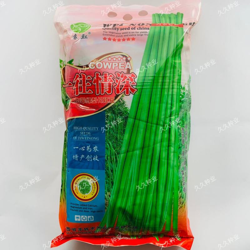 长豆角种籽江西袁豇一往情深豇豆种子翠绿色耐绿耐热春秋