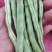 丰收二号豆角