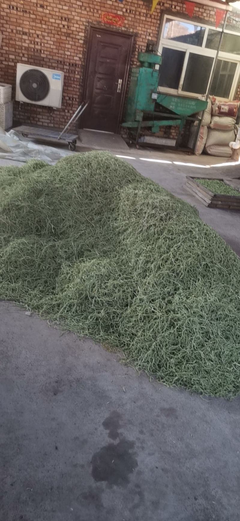 蔚县干菜无丝架豆王，货源充足，质量保证，需要的老板联系