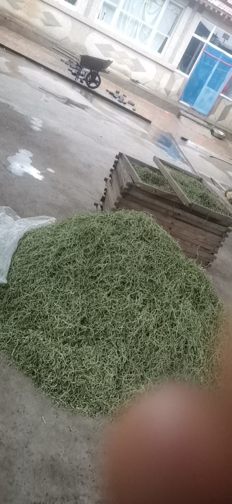 蔚县干菜无丝架豆王，货源充足，质量保证，需要的老板联系