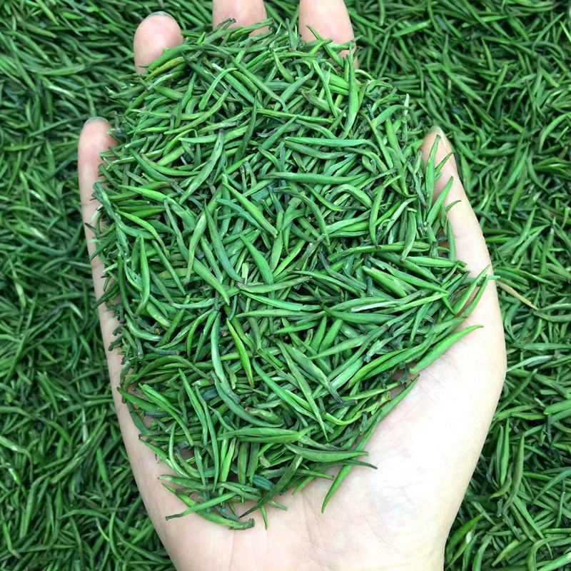 【现货批发】湄潭雀舌春茶绿茶叶2024新茶头采嫩芽浓香型