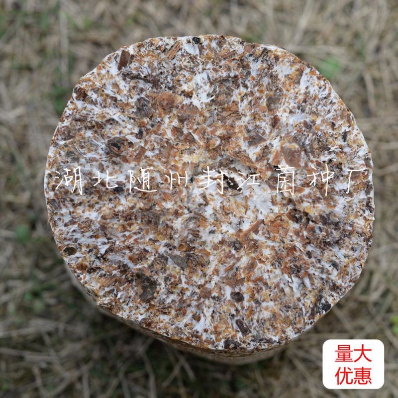 椴木菌种子香菇平菇食用菌种批发黑木耳木头冬菇可食用栽培蘑