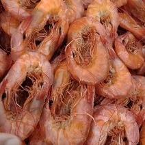 渤海湾大对虾一手货源，干度.鲜度，口感非常好，量大从优。
