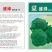 小米粒耐寒西兰花种子春秋种植花粒