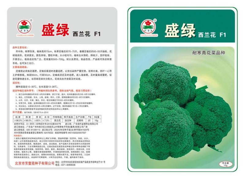 小米粒耐寒西兰花种子春秋种植花粒