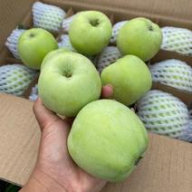 金帅苹果早熟苹果大量批发品种齐全货源充足