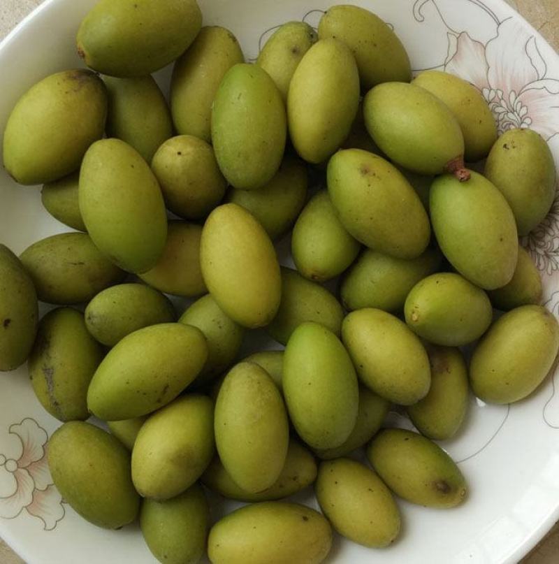 水果白榄柑榄即食良果可以作为果品加工原材煲汤柑榄汁