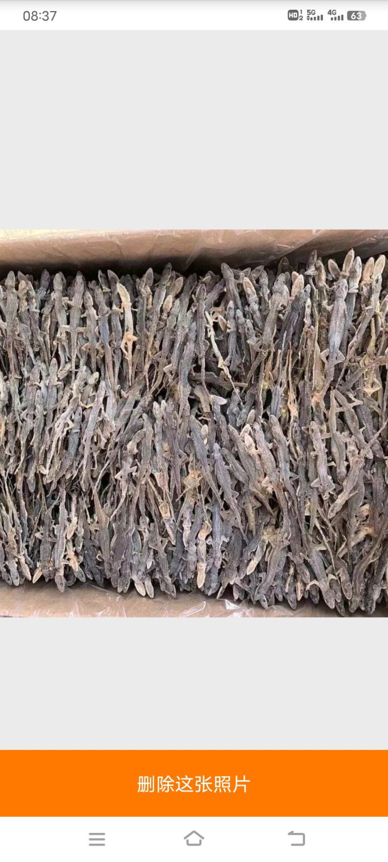 正品中药材爬墙虫壁虎干守宫天龙干可免费打粉多规