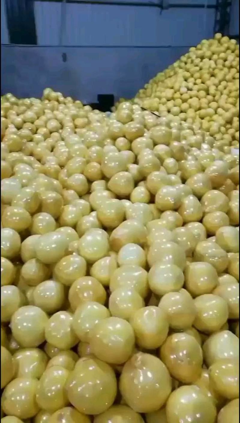 平和琯溪蜜柚产地供应链高品质量直供商超电商大批量供货