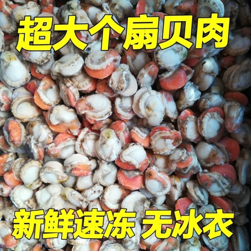 北城红贝扇贝肉
