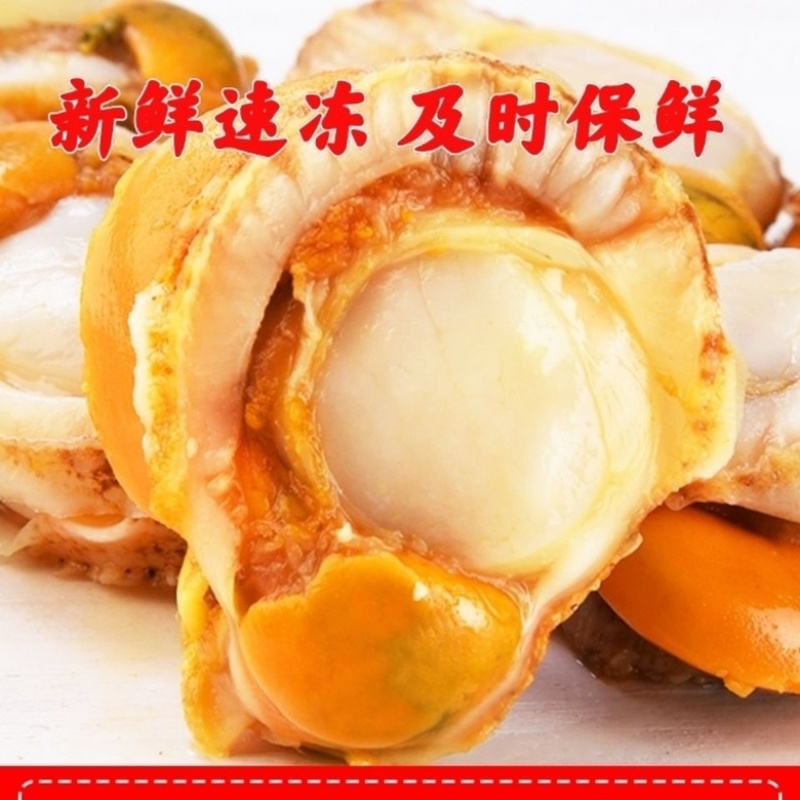 北城红贝扇贝肉
