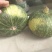 板栗南瓜