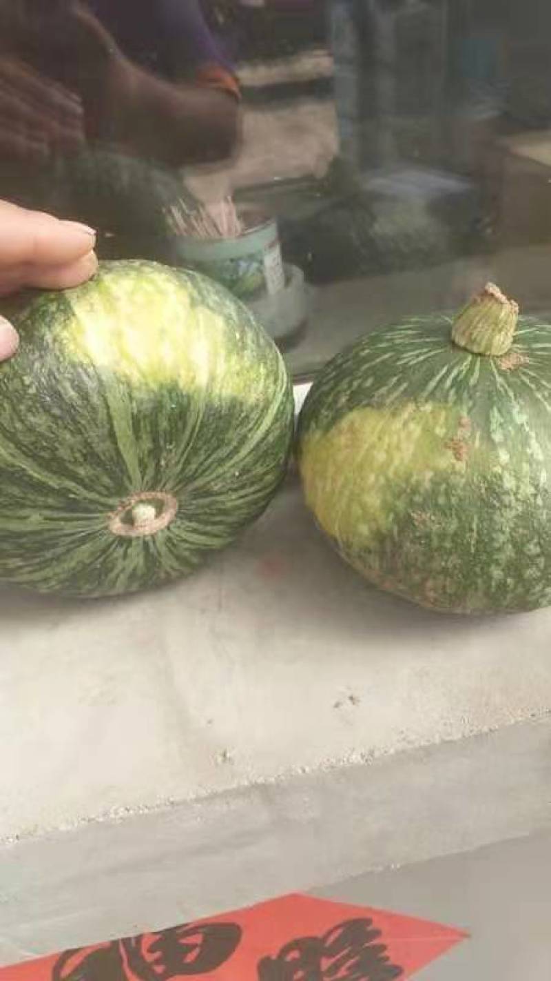 板栗南瓜