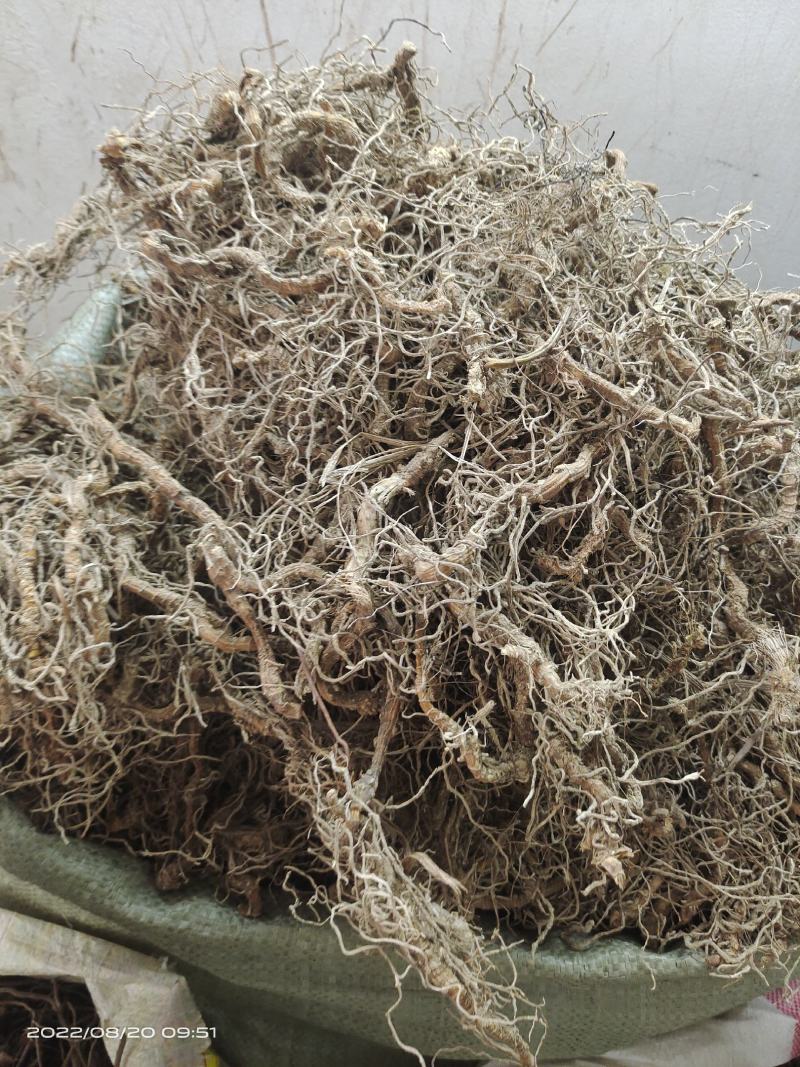中药材钉地蜈蚣倒地蜈蚣过路蜈蚣货源充足