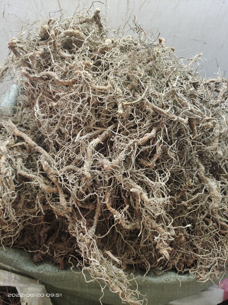 中药材钉地蜈蚣倒地蜈蚣过路蜈蚣货源充足
