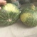 板栗南瓜