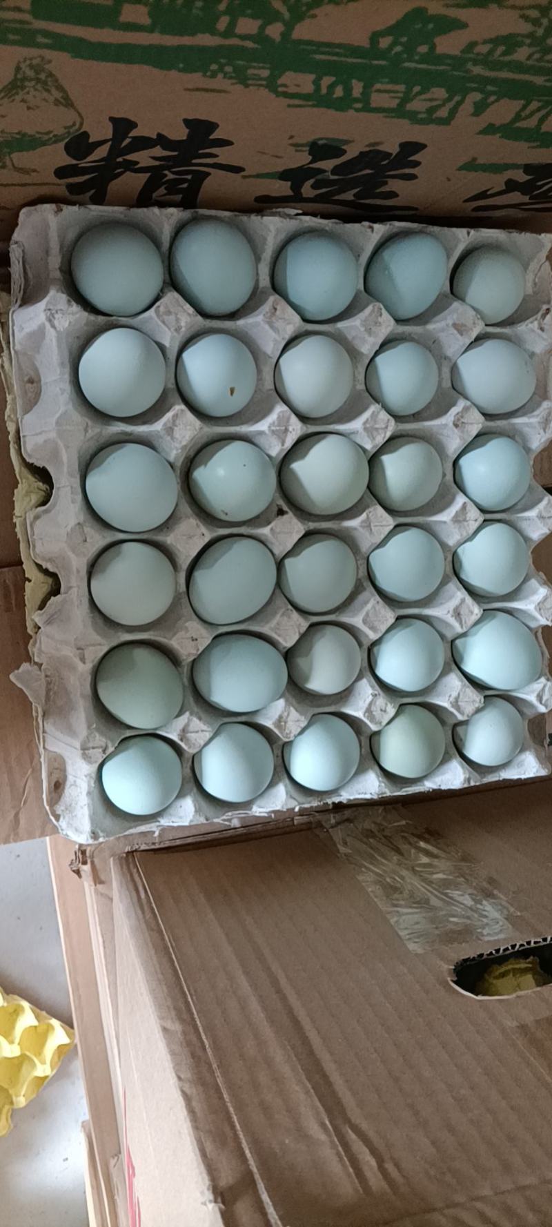 精品土鸡蛋双色零售批发量大优惠欢迎老板订购