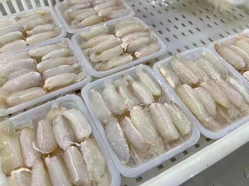 蟹脚肉大蟹腿肉无泡发扁蟹脚拥剑梭子蟹钳子现敲现冻