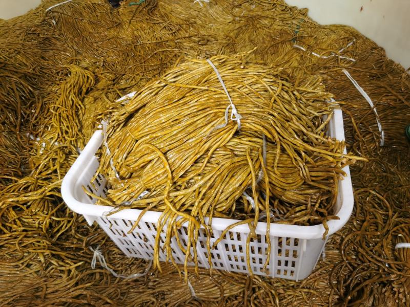 厂家直发基地供货泡豆角腌豆角酸豆角老坛豆角全国发货