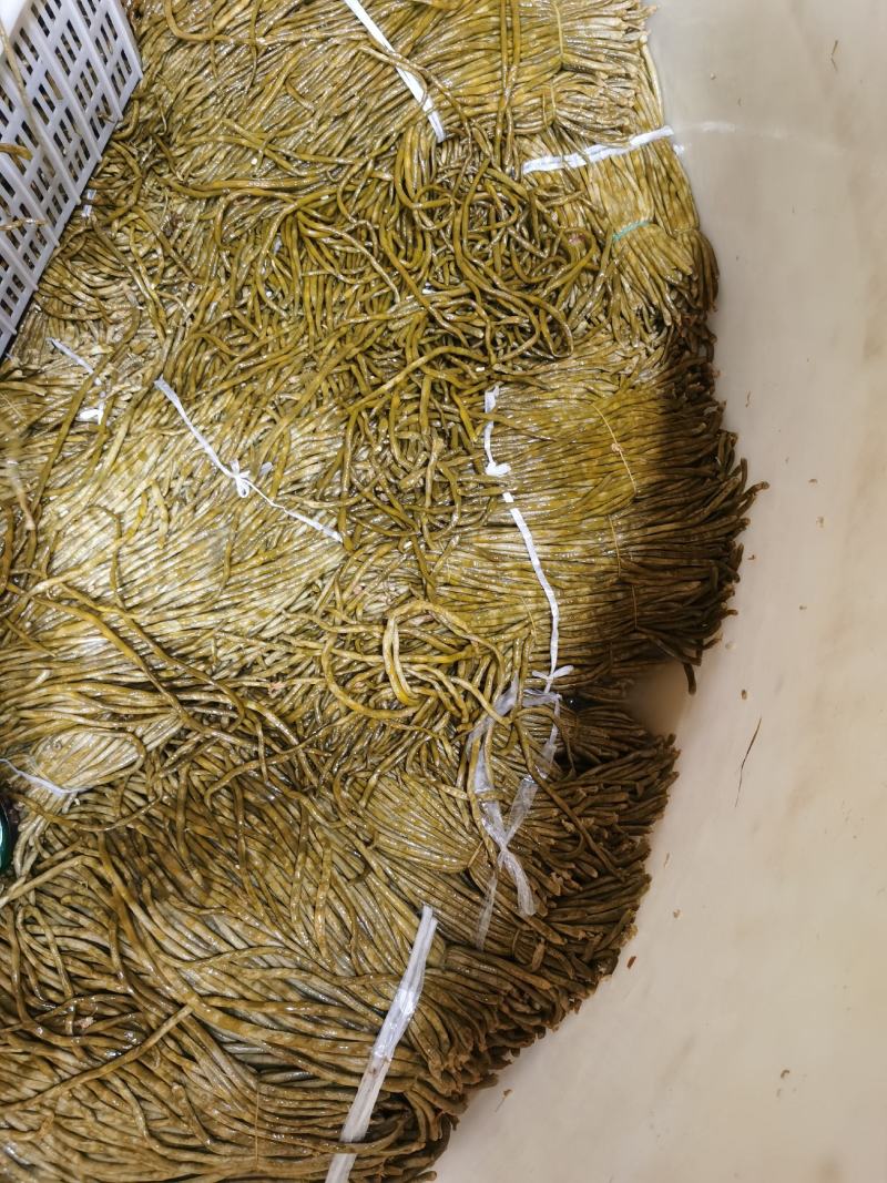 厂家直发基地供货泡豆角腌豆角酸豆角老坛豆角全国发货