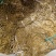 厂家直发基地供货泡豆角腌豆角酸豆角老坛豆角全国发货