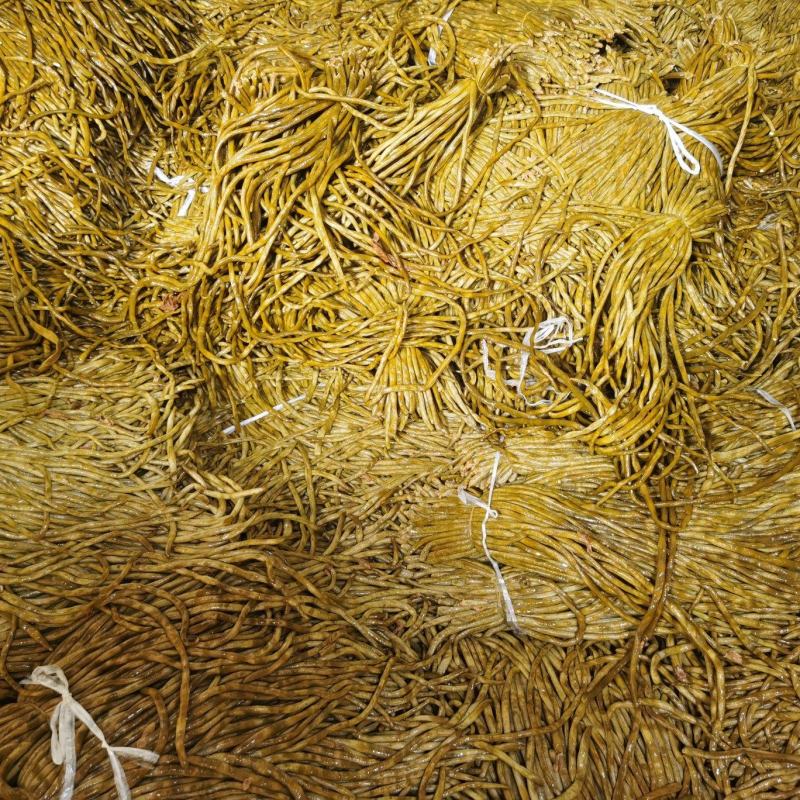厂家直发基地供货泡豆角腌豆角酸豆角老坛豆角全国发货