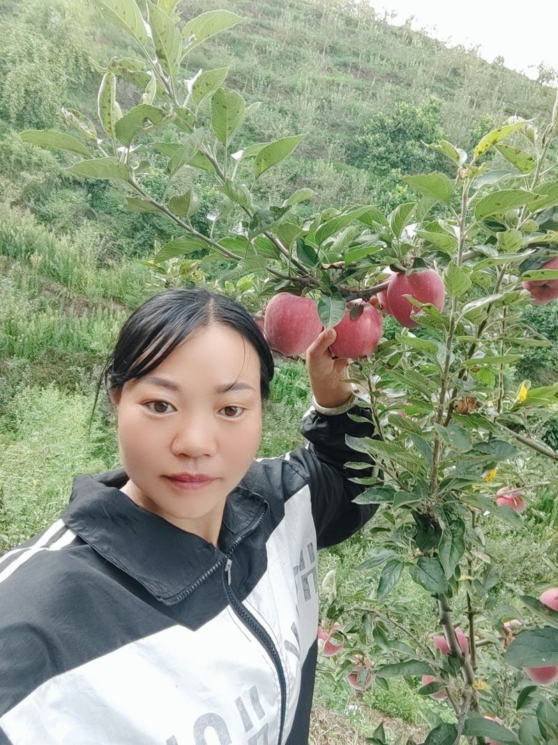 各位老板好，昭通市昭阳区，星红星苹果己上市有需要的请联系