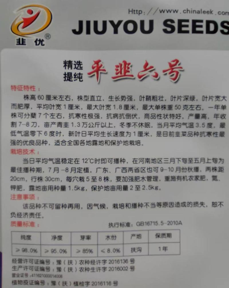 平韭六号韭菜种子河南韭菜种子基地直营叶面肥厚抗寒