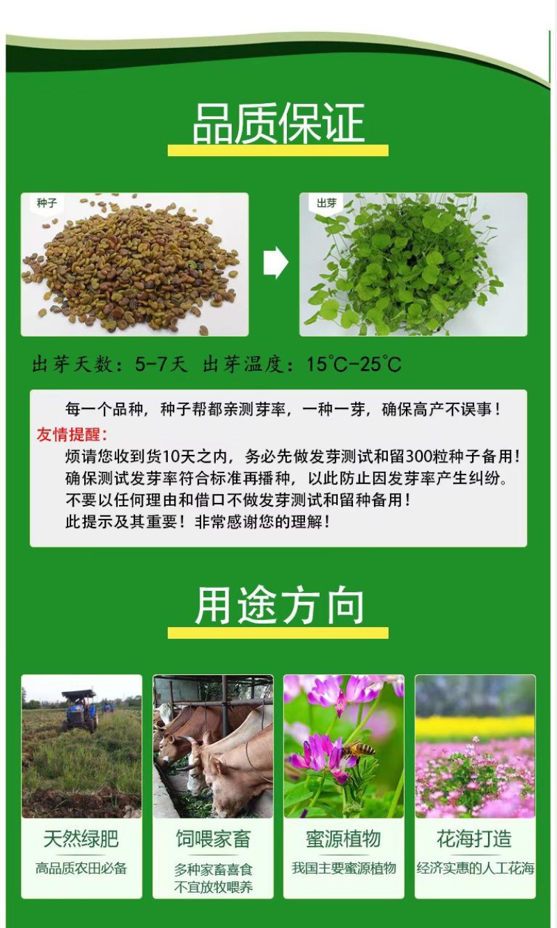 紫云英种子红花草种子养蜂蜜源高产牧草果园绿肥景观绿化草籽