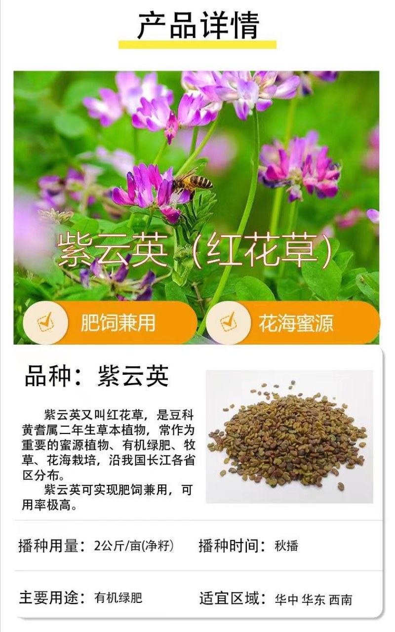 紫云英种子红花草种子养蜂蜜源高产牧草果园绿肥景观绿化草籽