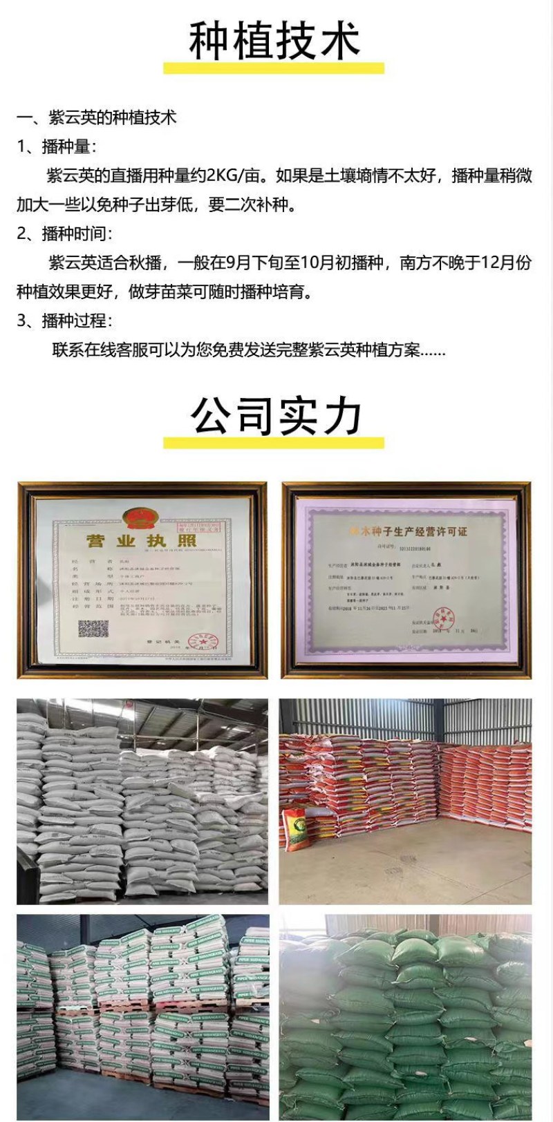 紫云英种子红花草种子养蜂蜜源高产牧草果园绿肥景观绿化草籽