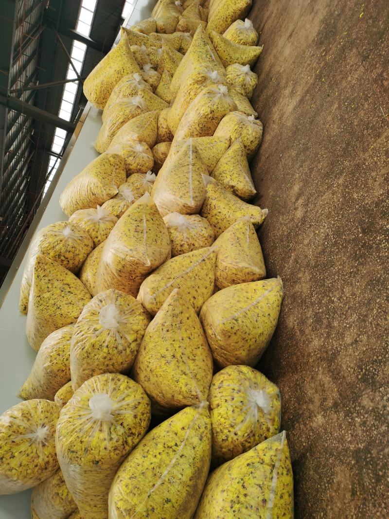 黄蜀葵花无花托精品不带花托黄蜀葵花饮片级别