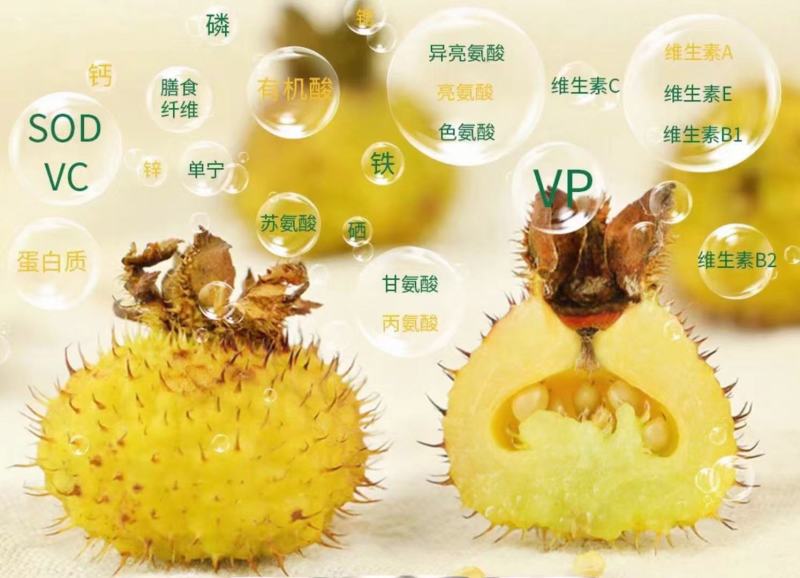 刺梨大量出货，需要的可以来了