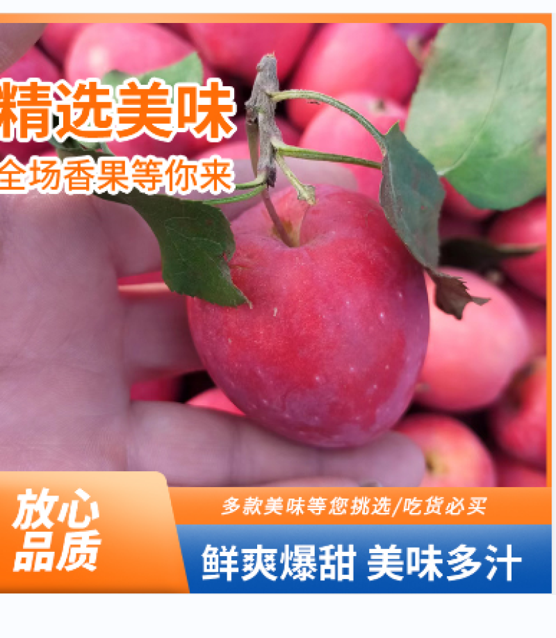 鸡心果海棠果东北小苹果整箱支持各大电商平台一件代发