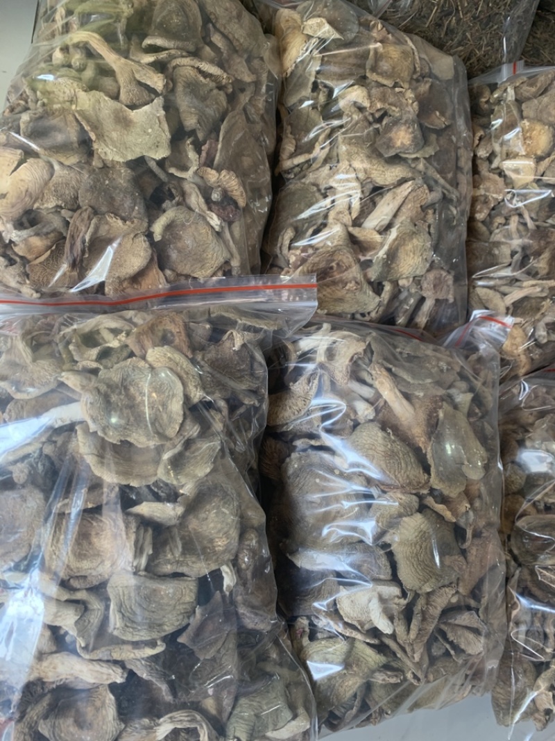梨菇，半开菇。味道香，滑。质量精选货