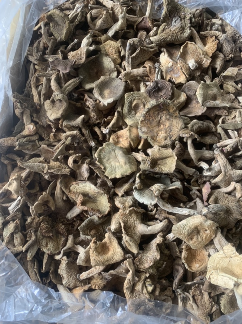 梨菇，半开菇。味道香，滑。质量精选货