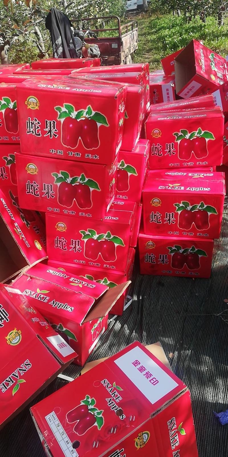 花牛