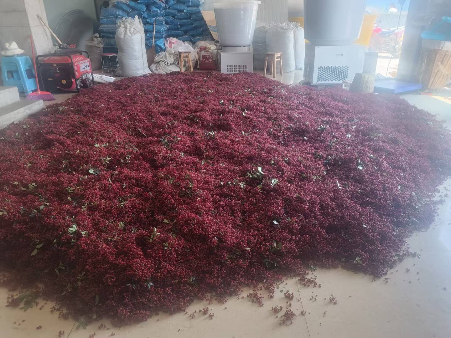 手工制作花椒木拐杖过程